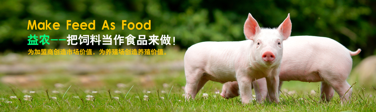 鋼板倉，鋼板倉生產(chǎn)廠家，粉煤灰鋼板倉_安陽萬鑫鋼板倉工程有限公司